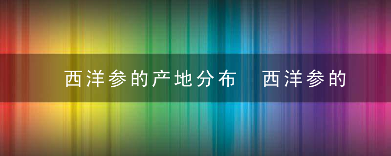 西洋参的产地分布 西洋参的产地在哪里